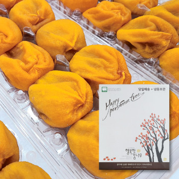 [정성담은] 산지직송 명품 반건시 선물세트(20개/30개)