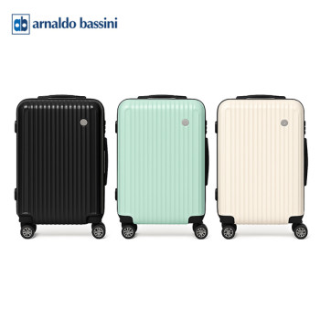 [아놀드바시니] 프로 24인치 화물용 캐리어