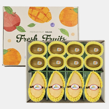 [굿파머] 골드키위 8입 + 골드망고 4입 선물세트 2.2kg내외