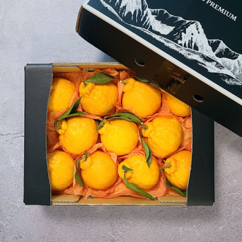 [굿파머] 제주 한라봉 선물세트 2.5kg (소/중/대)