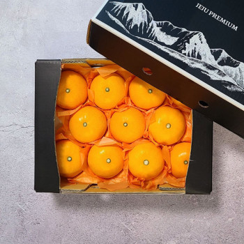 [굿파머] 제주 천혜향 선물세트 2.5kg (소/중/대)