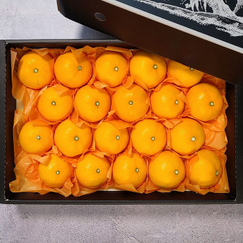 [굿파머] 제주 천혜향 선물세트 4.5kg (소/중/대)