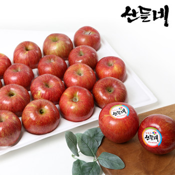 [산들네] 사과선물세트 5Kg 18과