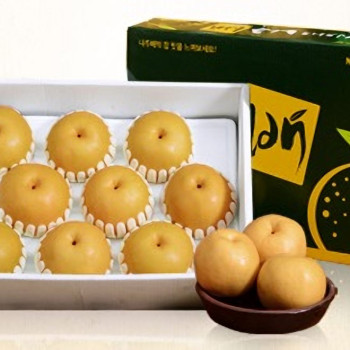 [나주농협] 싱그러운 나주배 모음 (1~3호)