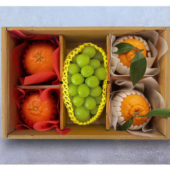 [명품 선물세트]한라봉/레드향/샤인머스켓 혼합과일선물세트