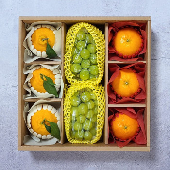 [설 명절 선물세트] 명품 선물세트(한라봉3과/레드향3과/샤인머스켓2송이)