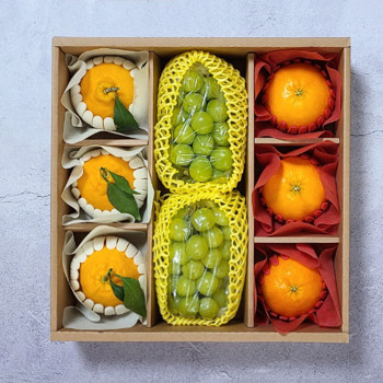 [설 명절 선물세트] 알찬실속세트(한라봉3과/레드향3과/샤인머스켓2송이)