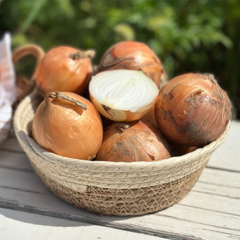 [자연농장] 국내산 양파 3kg/5kg/10kg (중소혼합/상/특/왕특)