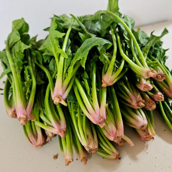 [하늘농장] 국내산 노지 섬초 500g/1kg/2kg/4kg (특품)