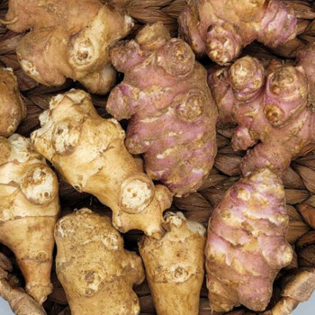 [하늘농장] 국내산 생 돼지감자 2kg/3kg/4kg (특품)