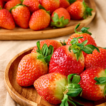 산지직송 당도선별 프리미엄 금실 생 딸기 750g 중사이즈 특품