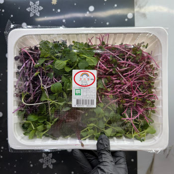 [농진사] 친환경 100%국내산 베이비채소 500g 1kg 샐러드용