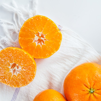 [산지직송] 제주 레드향 2kg/ 3kg/ 5kg/ 10kg