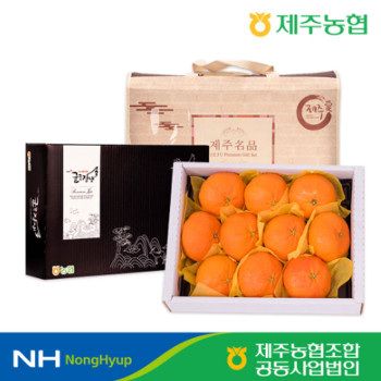 [제주농협] 제주 레드향 로얄과 선물세트 2.5kg / 4.5kg 명절 설날 추석 선물