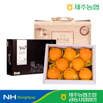 [제주농협] 제주 한라봉 로얄과 선물세트 2.5kg / 4.5kg 명절 설날 추석 선물