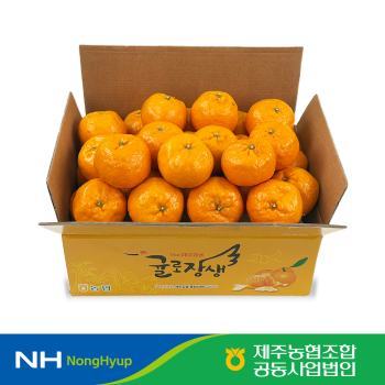 [제주농협] GAP 인증 고당도 제주 감귤 귤로장생 윈터프린스 로얄과 2kg / 4kg