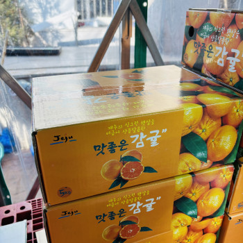 [오마켓 현장수령] 귤 5kg 1박스