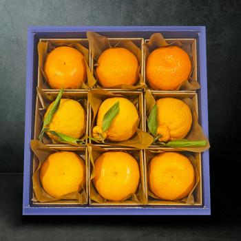 [설날선물세트] 베스트 만감류 3종(한라봉+레드향+천혜향) 선물세트 2.7kg내외