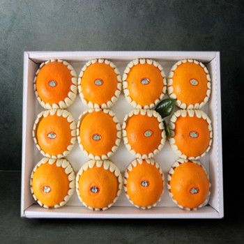 [설날선물세트] 천혜향 선물세트 3kg내외 (10-12입)