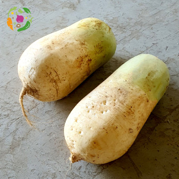 [새벽경매] 국내산 무 1box (10개)