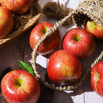 [숙희장터] 경북사과 최상급 가정용 부사사과 2kg 3kg 5kg