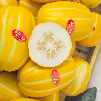 고당도 꿀 성주참외 가정용 로얄과 1kg/2kg/3kg/5kg/10kg