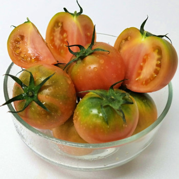 대저 짭짤이 토마토 특품 1kg/2.5kg 2S~3S