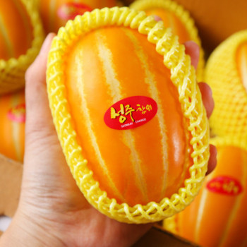 성주 꿀참외 1.5kg/3kg/5kg 가정용 선물용 박스포함중랑