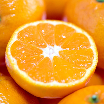 고당도 비가림 감귤 2.5kg 4.5kg 소과 중과 대과