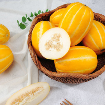 산지직송 달콤한 정품 성주참외 2kg 3kg