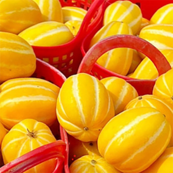 [남도애] 성주 참외 / 중량선택