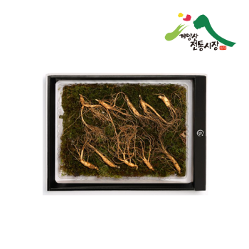 [계양산][무료배송] 진초원 프리미엄 산양산삼