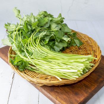 [경매직송] 국내산 참나물 1kg/2kg