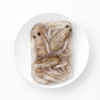 호진이네 급냉 활낙지 냉동낙지 낙지볶음재료 연포탕재료 4미900g~4.5kg