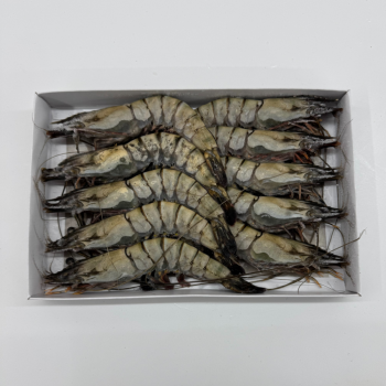 호진이네 블랙타이거새우 냉동 킹타이거새우 캠핑요리 구이 새우장 재료 용도 대용량 10마리~50마리