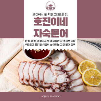호진이네 자숙 냉동 문어 숙회 삶은문어 대용량 타코야끼 1마리~5마리