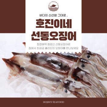 [딱! 7일 특가] 호진이네 100% 수작업 냉동손질오징어 원양산 급냉오징어 2마리~10마리