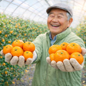 온부자유통 비가림으로 더 달아진 제주감귤ㅣ꽉 찬 단맛 500gX2팩 비가림감귤 1kg 쪼골락