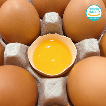 (농할) HACCP 계란 특란 무정란 달걀 30구