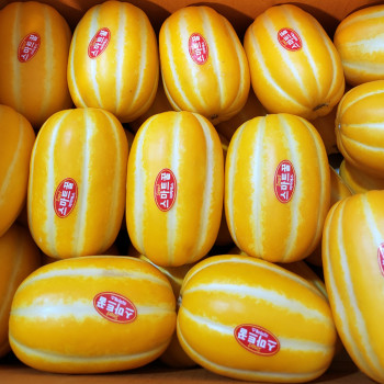 성주 꿀참외 5kg/10kg 가정용 선물용 정품