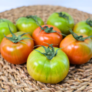 짭짤이(대저토마토) L,M,S 2.5kg