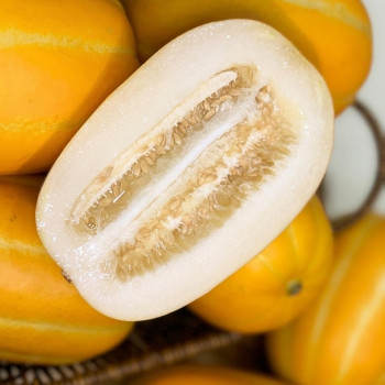 [1일1과]17brix 보장 고당도 프리미엄 정품 성주 참외