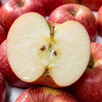 [1일1과]15brix 보장 고당도 프리미엄 정품 경북 사과