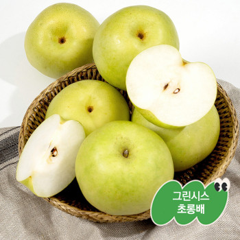 [굿파머] 그린시스 초롱배 (3kg/5~10과)