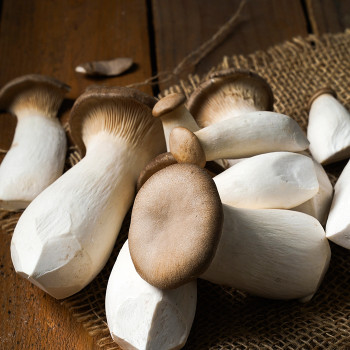 국내산 무농약 새송이버섯 1kg/2kg 꼬마 상 특품