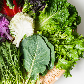 [당일수확] 국내산 샐러드 쌈채소 600g /1kg