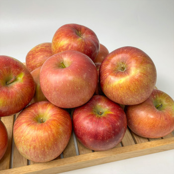 [부사 사과] 가을을 시작하는 과일  새콤달콤 사과 (1kg/3kg/5kg)