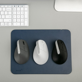 로이체 C타입 충전식 버티컬 무선 마우스 RX-800V