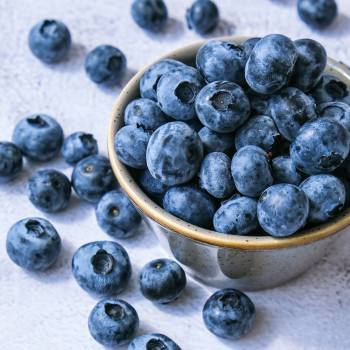 고당도 프리미엄 유기농 블루베리 신틸라 400g 600g 1kg 국산