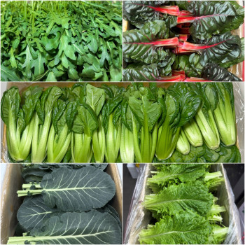 [농진사] 100% 국내산 쌈케일 적근대 로메인 비타민 와일드 1kg 2kg 쌈채소 골라담기